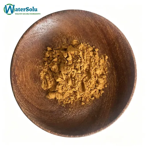 Bacopa Monnieri Extract