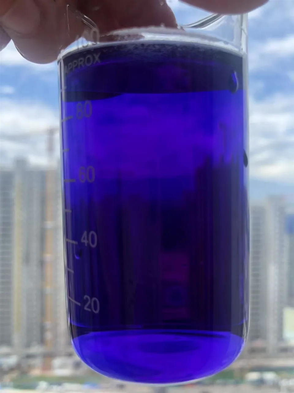 Butterfly Pea Blue Color Powder E3 suppliers