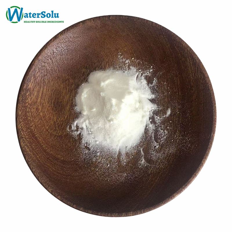Garlic Extract Powder