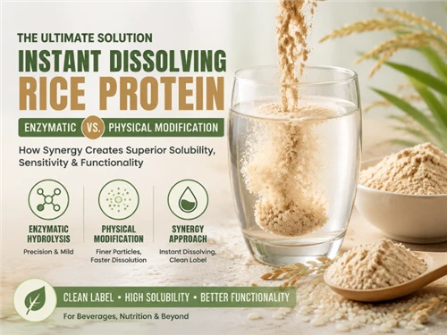 Next-Generation Rice Protein Modification Technology: Enzymatic Hydrolysis vs. Physical Modificat...