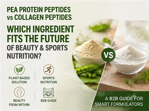 Pea Protein Peptide vs. Collagen Peptide: Which Ingredient Fits Modern Beauty and Sports Nutritio...
